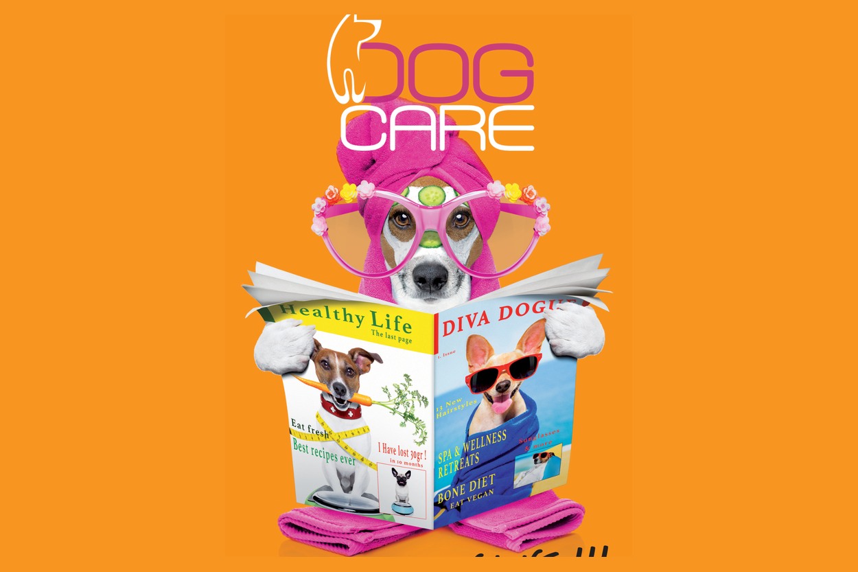 Cagnolina Dog Care con occhiali rosa che legge una rivista
